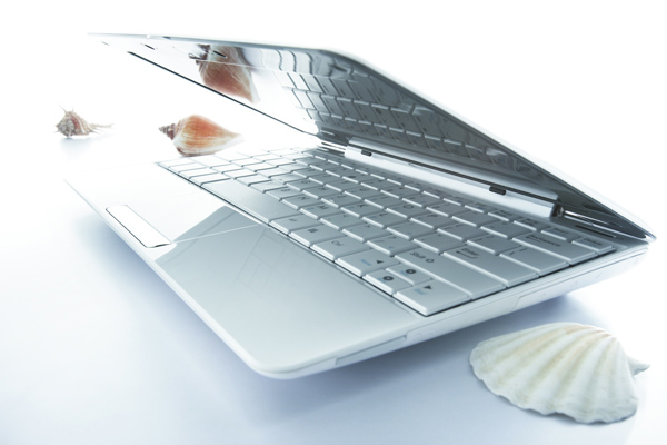Asus Eee 1008HA